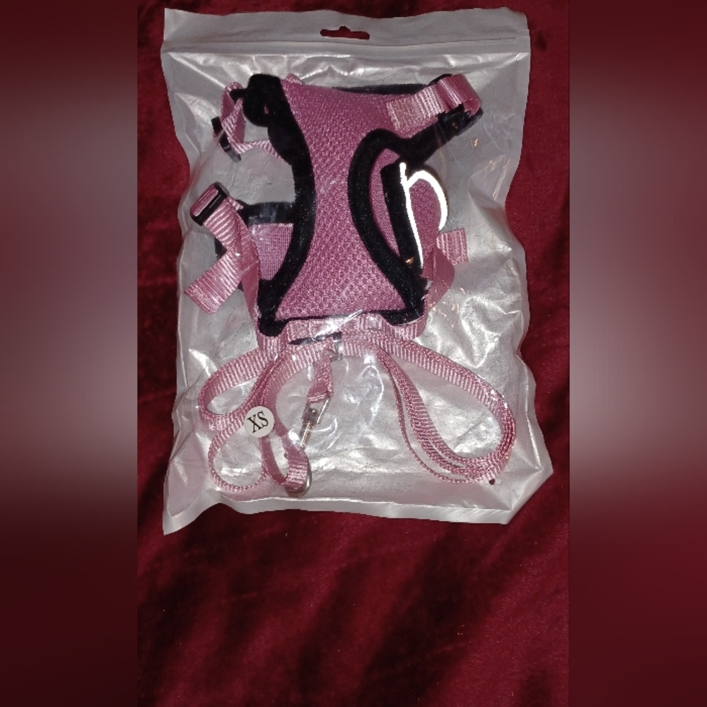 Small Pink Kitten & Cat Harness and Leash Set